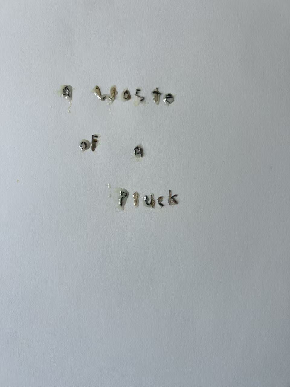 A Waste of a Pluck