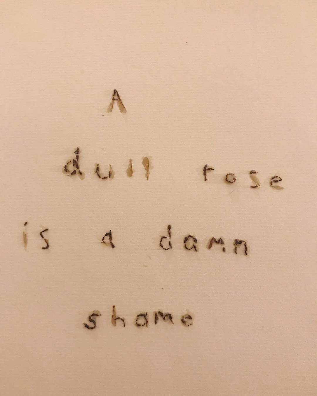 Pollinator Poem