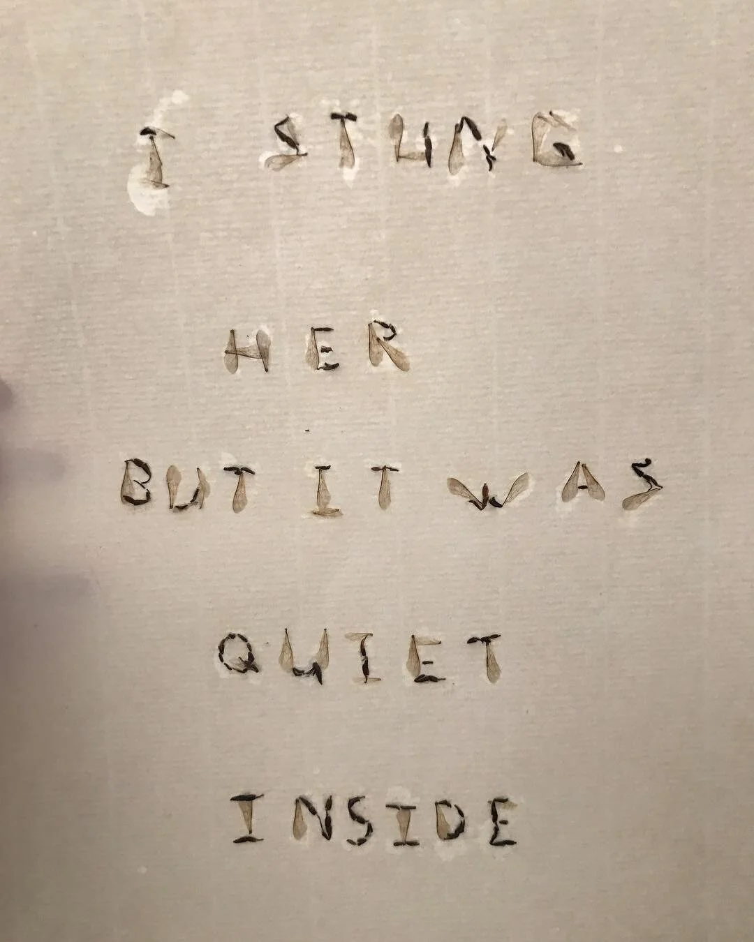 Pollinator Poem