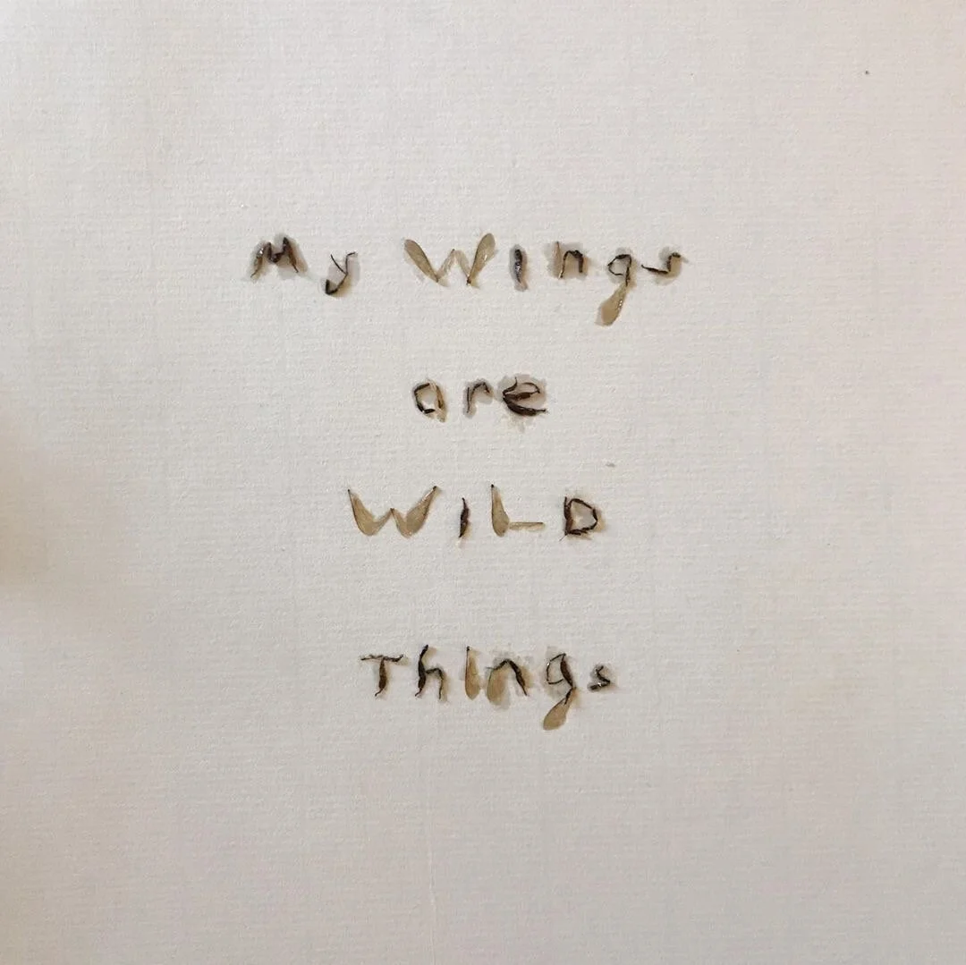 Pollinator Poem