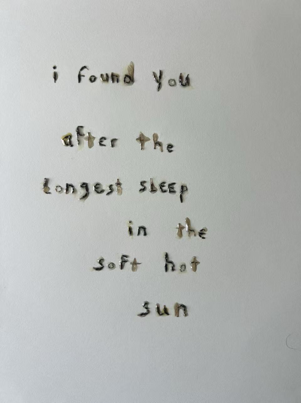 Longest Sleep